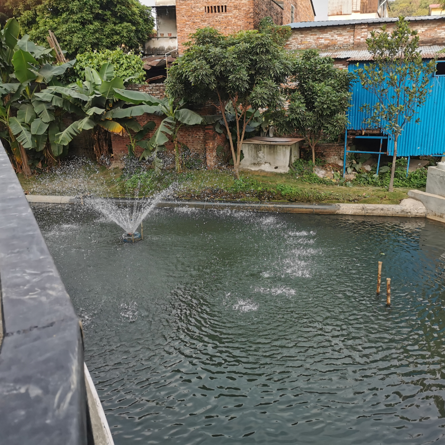 betway必威助力顺德打赢黑臭水体攻坚战