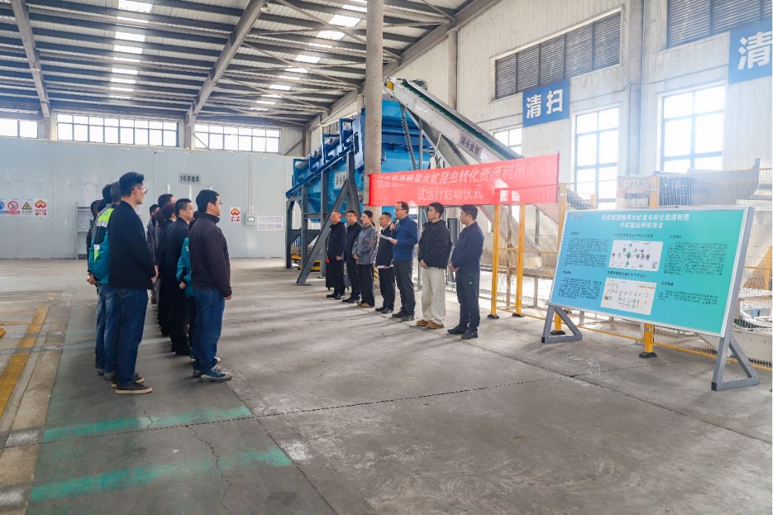 betway必威酱酒糟黑水虻转化中试项目启动试运行