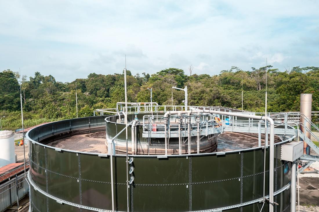 betway必威成功签约新加坡生物能源项目